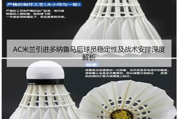 AC米兰引进多纳鲁马后球员稳定性及战术安排深度解析
