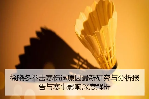 徐晓冬拳击赛伤退原因最新研究与分析报告与赛事影响深度解析