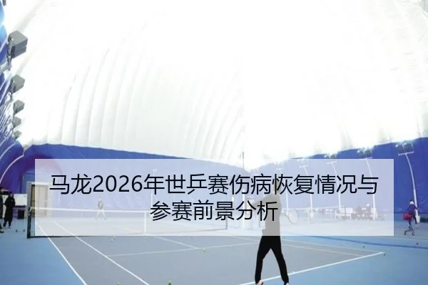 ma-long-nian-shi-ping-sai-shang-bing-hui-fu-qing-kuang-yu-can-sai-qian-jing-fen-xi-2-566.jpg