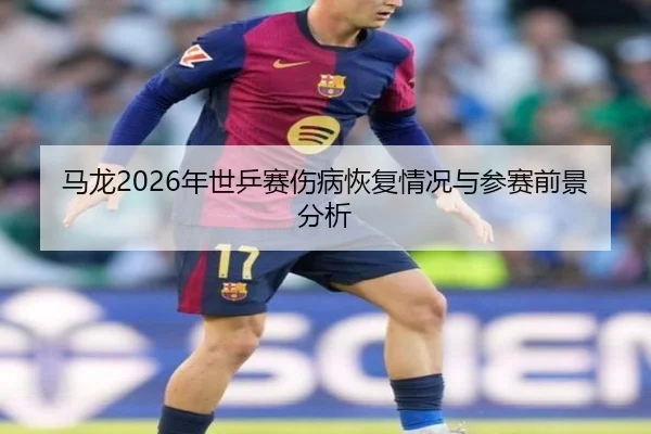 马龙2026年世乒赛伤病恢复情况与参赛前景分析